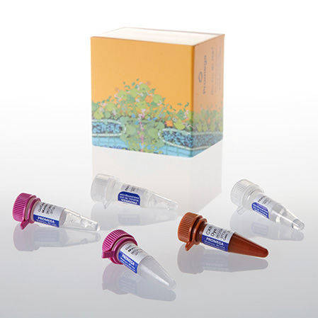 Reactivo polimerasa Taq - GoTaq® Probe - Promega France - para la investigación / de ácidos nucleicos / para qPCR