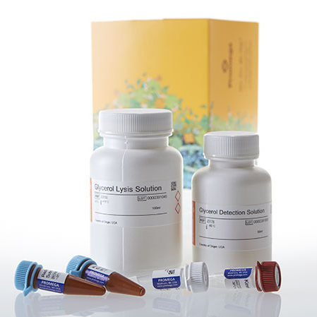 Kit de reactivos de suero - Glycerol-Glo™ - Promega France - de tejidos / de muestras biológicas / de fosfato