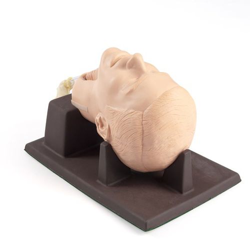 Simulador de formación - 261-01001 - Laerdal Medical - de cricotiroidotomía / quirúrgico / masculino