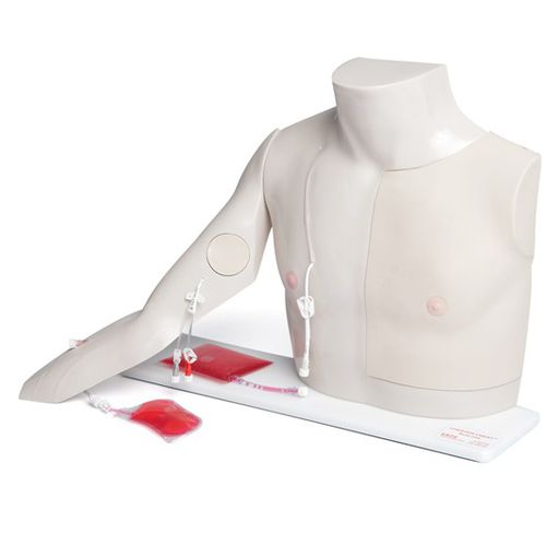 Simulador de paciente para acceso vascular venoso - Chester  - Laerdal Medical - de perfusión / para cuidados de enfermería / de torso