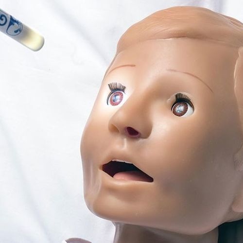 Simulador de paciente infantil - Pediatric HAL® S3005  - Gaumard - de auscultación / de inyección / para la gestión de las vías respiratorias
