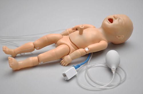 Simulador de inyección - Premie™ Blue S108 - Gaumard - para la gestión de las vías respiratorias / para RCP / de formación