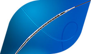 Stent arteria coronaria - Cygnus II - Degania Silicone - de cromo cobalto / hidrofílico / con recubrimiento