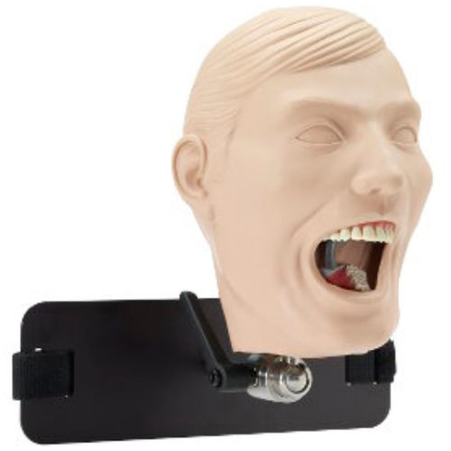 Maniquí de prácticas para cuidados dentales - M-1R-DA-8 - Columbia Dentoform® - de cabeza