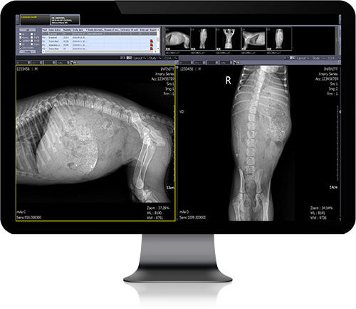 PACS procesos basados en la web - Infinitt Healthcare - veterinario