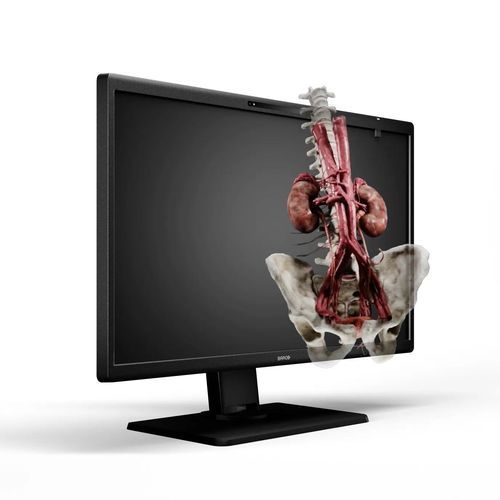 Monitor médico - Eonis 3D - Barco - quirúrgico / 8" / LED