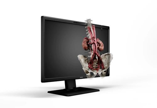Monitor para sala de operaciones - Eonis 3D - Barco - para imágenes médicas / médico / de formación