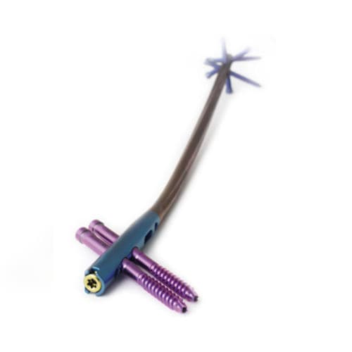 Clavo intramedular para fémur - CHARFIX2 - ChM - fijación distal / fijación proximal / derecho