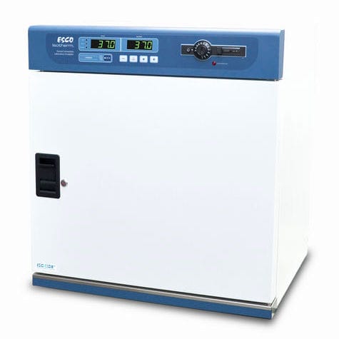 Incubadora de laboratorio de convección forzada - Isotherm® - ESCO - de mesa / de acero inoxidable / con 1 puerta