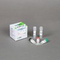 Kit de reactivos retrotranscriptasa - Rocketscript™ - Bioneer Corporation - para RT-PCR / para PCR en tiempo real