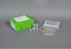 Kit de prueba para enfermermedades infecciosas - AccuPower® - Bioneer Corporation - para virus / de influenza A / nasofaríngeo