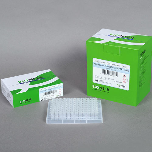 Kit de reactivos ADN polimerasas - AccuPower® RocketPlex - Bioneer Corporation - polimerasa Taq / colorante / para RT-PCR