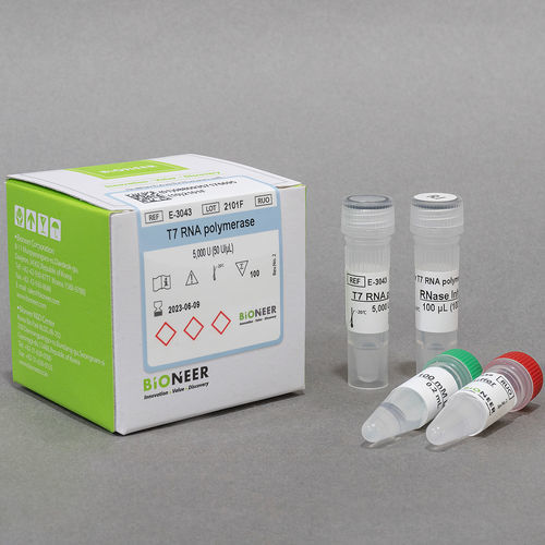 Kit de reactivos enzima - Bioneer Corporation - proteasa / inhibidor de RNasa / para síntesis del ARN