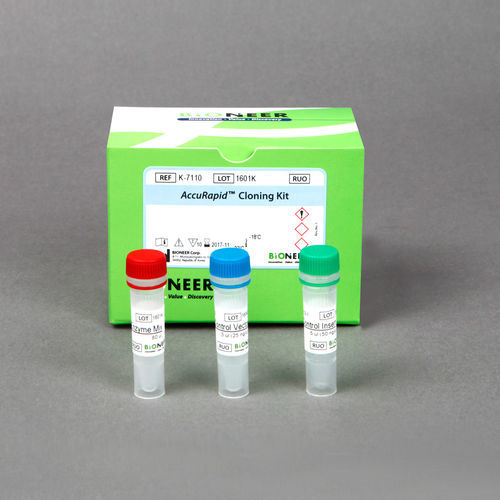 Kit de reactivos enzima - AccuRapid™  - Bioneer Corporation - para la investigación / para PCR