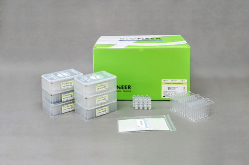 Kit de prueba clínico - Protonion™ 96 - Bioneer Corporation - nasofaríngeo / de saliva / de expectoración