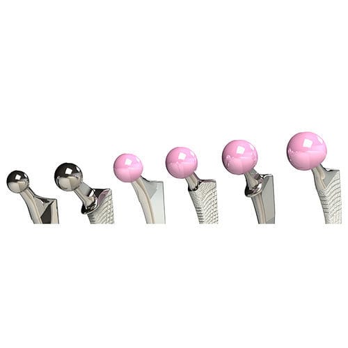 Prótesis de cabeza femoral - BIOLOX® - C2F Implants