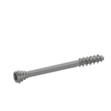 Tornillo de compresión ósea para falange de la mano - 3170 series - SOFEMED International - para falange del pie / canulado / de titanio