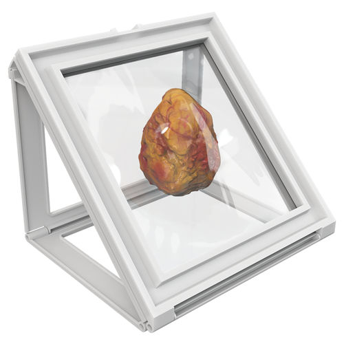 Contenedor de tejidos - Wedge® - Faxitron Bioptics