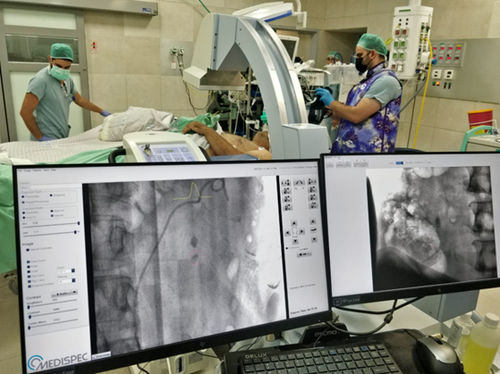 Software de mejora de la imagen - STONEVISION - Medispec - de control / de tratamiento / de captura