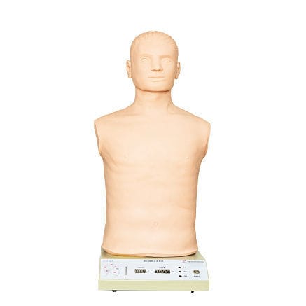 Maniquí de prácticas para atención general - GD/J18 - Shanghai Honglian Medical Instrument - de parte superior del cuerpo / de arteria
