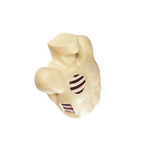 Simulador de drenaje torácico - GD/L67  - Shanghai Honglian Medical Instrument - de neumotórax / de torso
