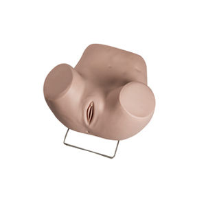 Simulador de histeroscopia - GD/F35 - Shanghai Honglian Medical Instrument - para cuidados ginecológicos / femenino / de parte inferior del cuerpo