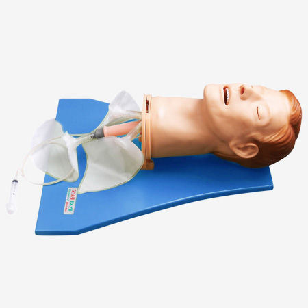 Maniquí de prácticas para la gestión de las vías respiratorias - GD/J55 - Shanghai Honglian Medical Instrument - de cabeza