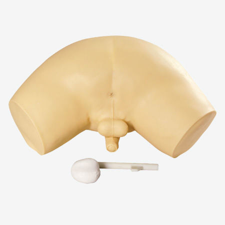 Maniquí de prácticas de palpación de la próstata - GD/L63 - Shanghai Honglian Medical Instrument - de pelvis
