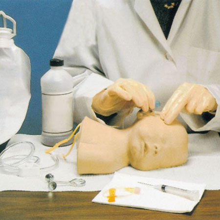 Simulador de punción venosa - GD/HS6E - Shanghai Honglian Medical Instrument - neonatal / de cabeza