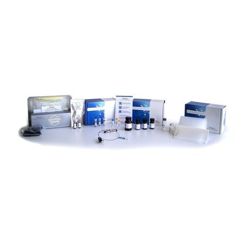 Kit de prueba para la investigación - RUO - Waters Ges.m.b.H  - para COVID-19 / SARS-COV-2 / clínico