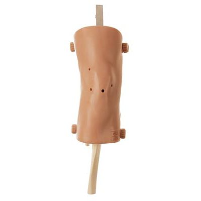 Simulador de artroscopia de rodilla - CLA 10 - Coburger Lehrmittelanstalt - para atención general / de rodilla