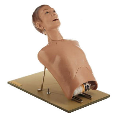 Maniquí de prácticas para atención general - Broncho Boy - Coburger Lehrmittelanstalt - de intubación / de broncoscopia / de torso