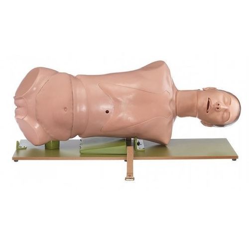 Maniquí de prácticas para atención general - CLA 4/5 - Coburger Lehrmittelanstalt - de intubación / femenino / de parte superior del cuerpo