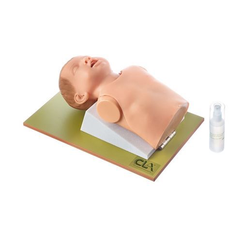 Maniquí de prácticas para atención general - CLA 8/23 - Coburger Lehrmittelanstalt - de intubación / de broncoscopia / de cabeza