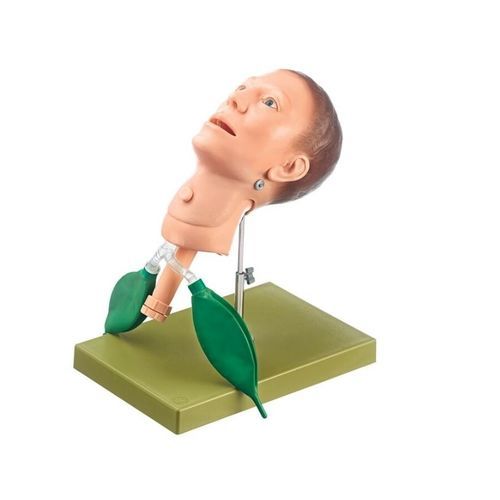 Maniquí de prácticas para atención general - CLA 1/100 - Coburger Lehrmittelanstalt - de traqueotomía / adulto / de cabeza