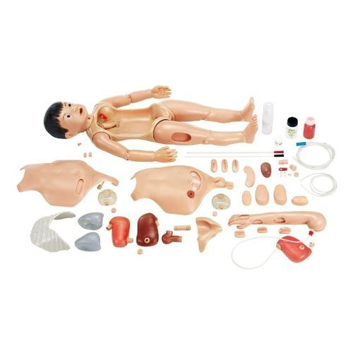 Maniquí de prácticas para atención general - CLA 23/A - Coburger Lehrmittelanstalt - de nutrición / de punción / de inyección