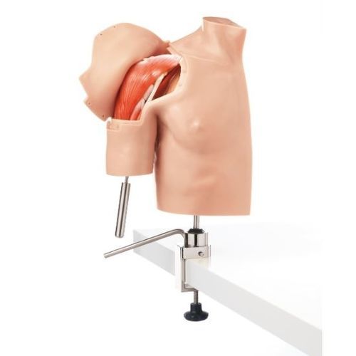 Maniquí de prácticas para atención general - CLA 15/3 - Coburger Lehrmittelanstalt - de hombro / de plástico