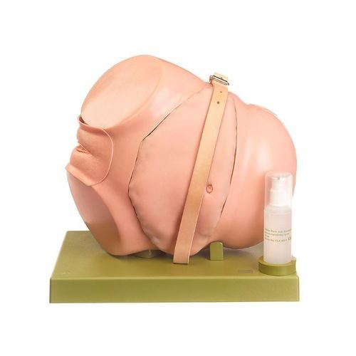 Maniquí de prácticas para atención general - CLA 5/4 - Coburger Lehrmittelanstalt - de colonoscopia / adulto / femenino