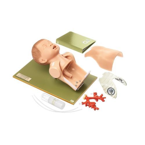 Maniquí de prácticas para atención general - Broncho Junior  - Coburger Lehrmittelanstalt - de intubación / de auscultación / de broncoscopia