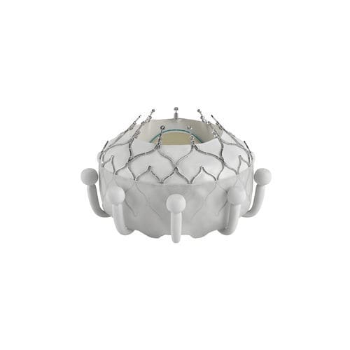 Bioprótesis valvular tricúspide - EVOQUE - Edwards Lifesciences - de tejido bovino / de nitinol / sin suturas