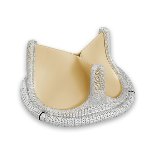 Bioprótesis valvular aórtica - PERIMOUNT - Edwards Lifesciences - de tejido bovino / de cromo-cobalto