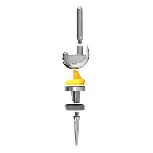 Prótesis de rodilla tricompartimental - EXPRT™ - Enovis Surgical - de revisión / de platillo fijo / cementada