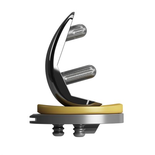 Prótesis de rodilla unicompartimental - EMPOWR PARTIAL™ - Enovis Surgical - cementada