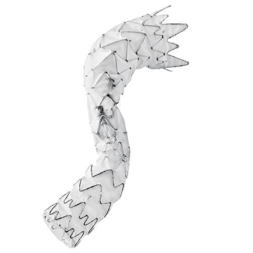 Stent-injerto de aorta torácica - E-nside™ TAAA - Artivion - de nitinol / de ePTFE