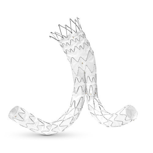 Stent-injerto aorta abdominal - E-tegra™ - Artivion - de nitinol / de ePTFE