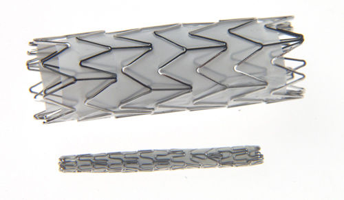 Stent-injerto arteria coronaria - Prograft - Vascular Concepts