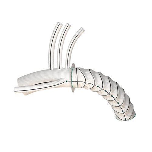 Stent-injerto arco aórtico - Thoraflex™ - Terumo Aortic
