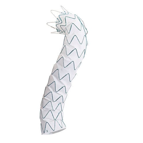Stent-injerto aorta torácica ascendente - Relay®Plus - Terumo Aortic - de aorta torácica / de nitinol / hidrofílico