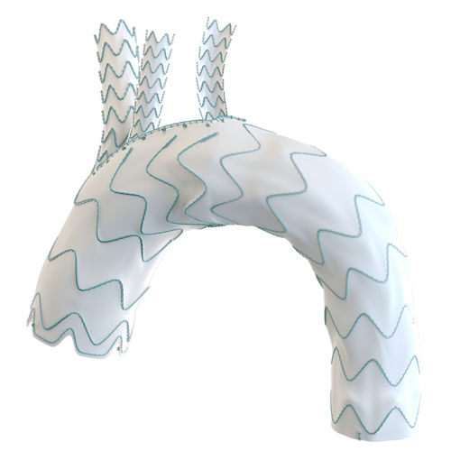 Stent-injerto arco aórtico - Relay®Branch - Terumo Aortic - de nitinol / de ePTFE