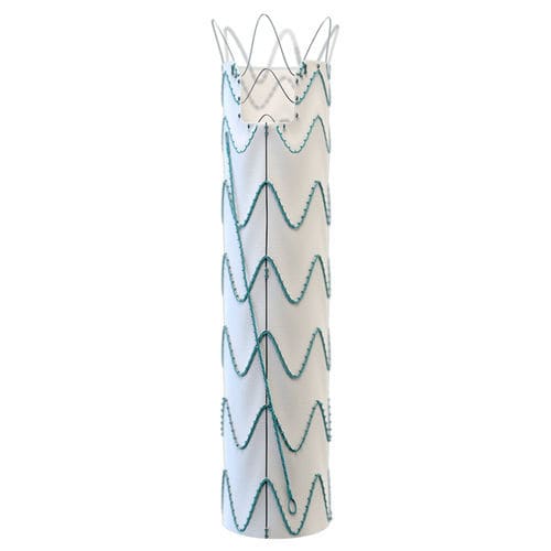Stent-injerto aorta torácica ascendente - Relay® Proximal Scallop - Terumo Aortic - de nitinol / de ePTFE / hidrofílico